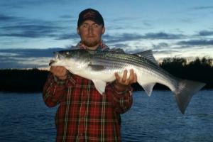 Braggin' Board Photo: Cole's Striper