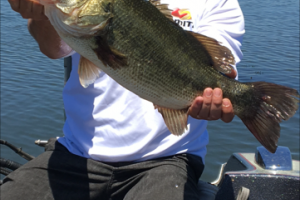 Braggin' Board Photo: John's Big Trophy Bass