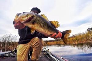 Braggin' Board Photo: Sweet Bass