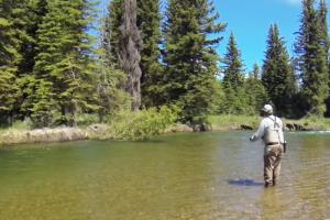 Braggin' Board Photo: Fly Fishing Cast