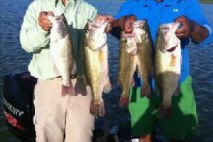 Braggin' Board Photo: A good day bass fishing in Arkansas