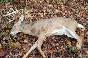 Braggin' Board Photo: Hunting Success