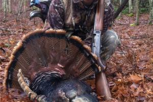 Braggin' Board Photo: Nice Gobbler