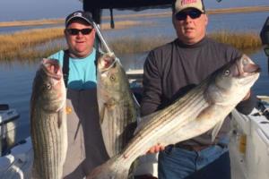 Braggin' Board Photo: Nice Stripers