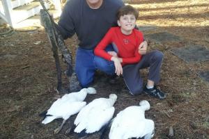 Braggin' Board Photo: Snow Geese