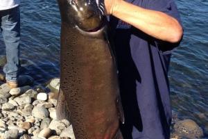 Braggin' Board Photo: Fishing at Rancho Cardova