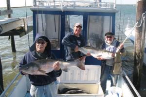 Braggin' Board Photo: Great Day fishing Salt Bass