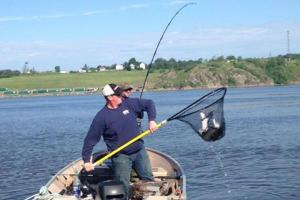 Braggin' Board Photo: Netting another bass