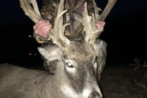 Braggin' Board Photo: Proud of this Buck