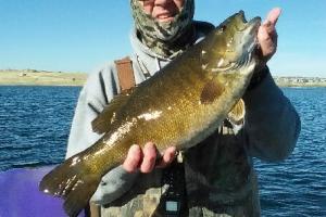 Braggin' Board Photo: Nice Smallie