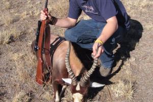 Braggin' Board Photo: African Blesbuck