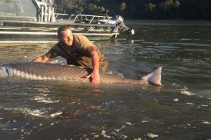 Braggin' Board Photo: Huge sturgeon