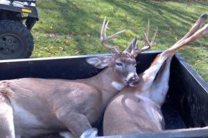 Braggin' Board Photo: 8 POINT 2013