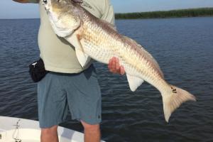 Braggin' Board Photo: Bull red on top water lure