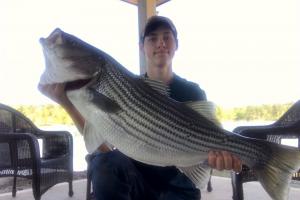 Braggin' Board Photo: Nice Striper Bass
