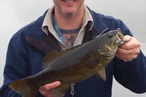 Braggin' Board Photo: Smallmouth Bass