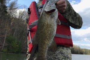 Braggin' Board Photo: Seth's Sweet bass