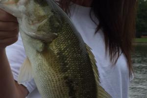 Braggin' Board Photo: I love bass