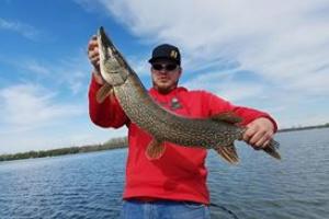 Braggin' Board Photo: 37" 11lb Pike Lake Champlain Fishing