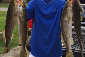 Braggin' Board Photo: Sea Trout