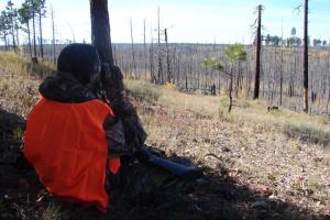 Braggin' Board Photo: Glassing for Deer