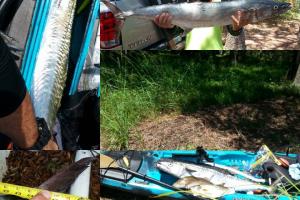 Braggin' Board Photo: Super day of Fishing in my Kayak