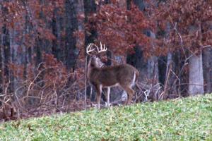 Braggin' Board Photo: Young Buck We Call Two-Face