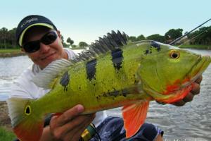 Braggin' Board Photo: Peacock Bass 2014