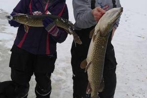 Braggin' Board Photo: 36 inch Northern Pick - New York