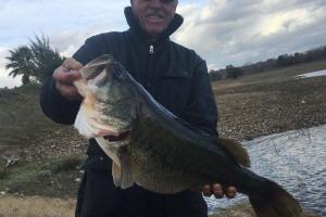 Braggin' Board Photo: Big Bass