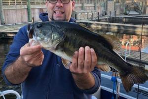 Braggin' Board Photo: Nice Largemouth