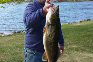 Braggin' Board Photo: Nice Walleye, Clark N