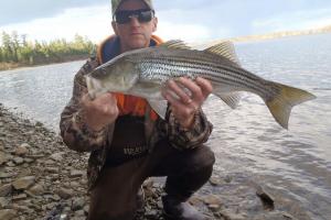 Braggin' Board Photo: Vern's Striper Bass