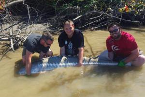 Braggin' Board Photo: Fraser River Sturgeon