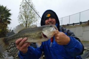 Braggin' Board Photo: Bass at  Almaden Lake