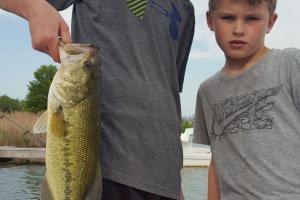 Braggin' Board Photo: 3 Pounder