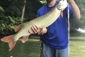 Braggin' Board Photo: South Holston Muskie