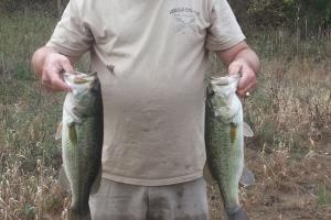 Braggin' Board Photo: Two nice bass