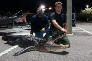 Braggin' Board Photo: Nice Gator