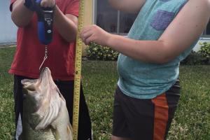 Braggin' Board Photo: Big Bass