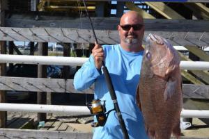 Braggin' Board Photo: Record Gray Snapper
