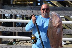 Braggin' Board Photo: Record Gray Snapper