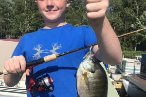 Braggin' Board Photo: Bluegills From The Dock