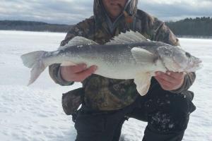 Braggin' Board Photo: Walleye