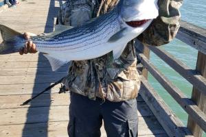 Braggin' Board Photo: Fishing for big fish