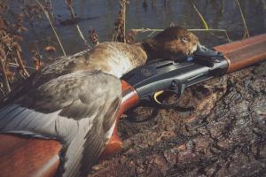 Braggin' Board Photo: Redhead Hen at Four Rivers 2014