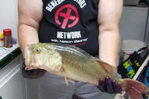 Braggin' Board Photo: BIG BOY over 10 lb