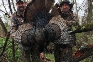 Braggin' Board Photo: Nice Big Gobbler