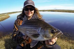 Braggin' Board Photo: Nice Striper Bass