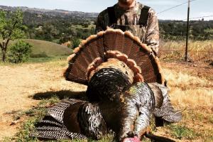 Braggin' Board Photo: Turkey Season - Jake